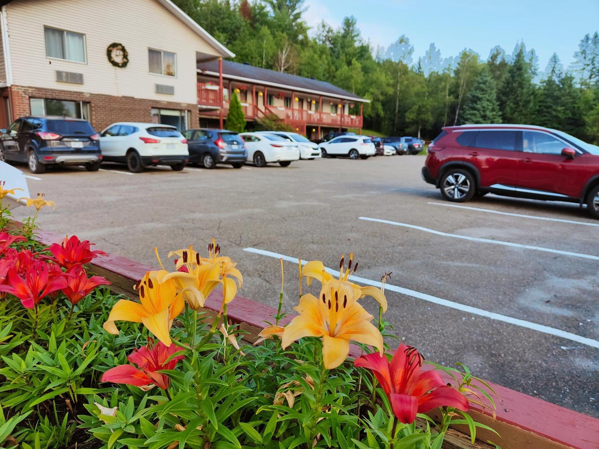 Motel Le Radisson De Val-David Exterior foto